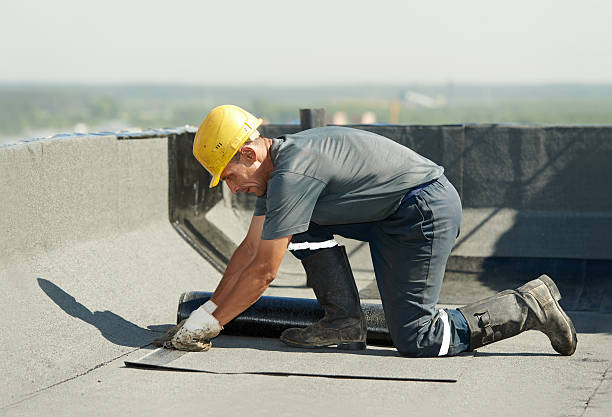 Best Wall Insulation Contractor  in Greenup, IL