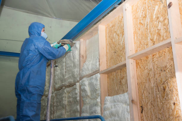 Best Spray Foam Insulation  in Greenup, IL